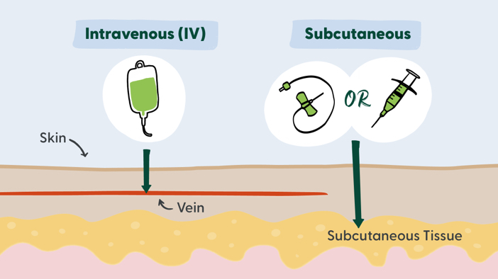 Illustration of how biologics go into the body